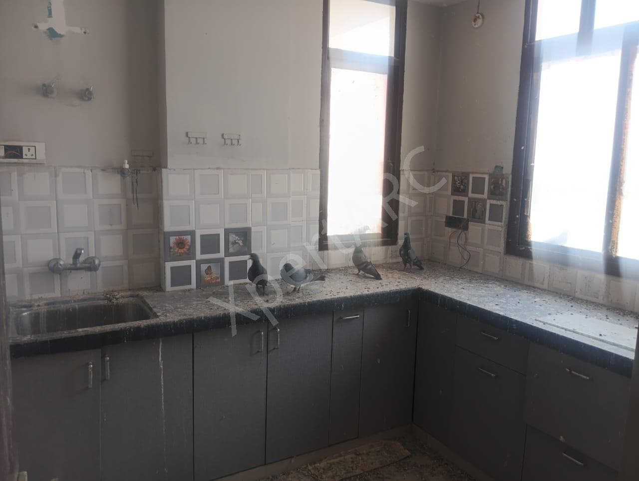 Property Photos 8