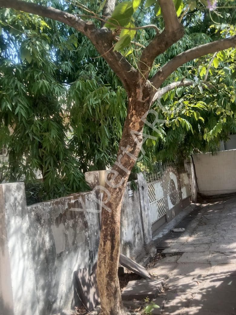 Property Photos 4
