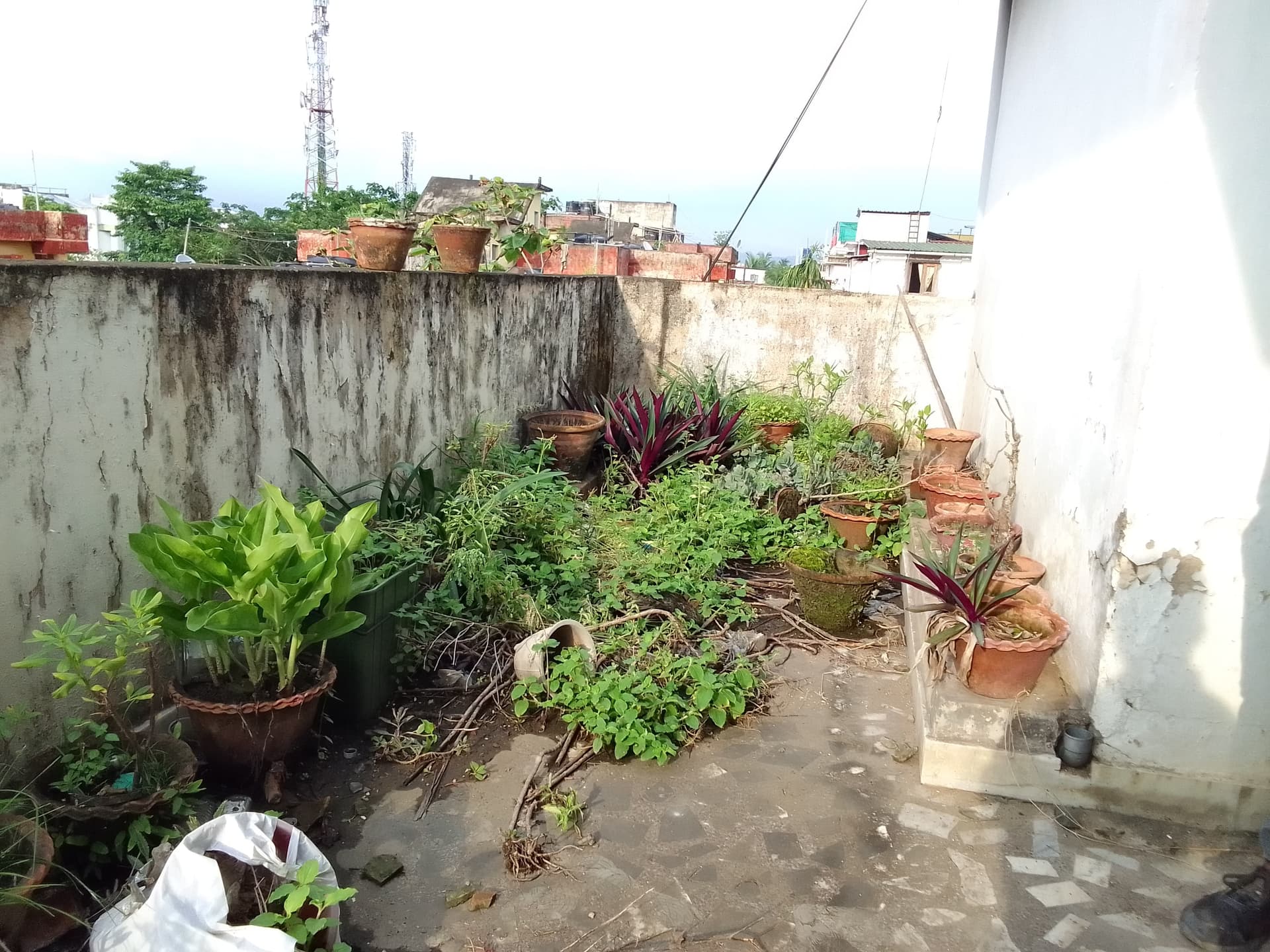 Property Photos 5