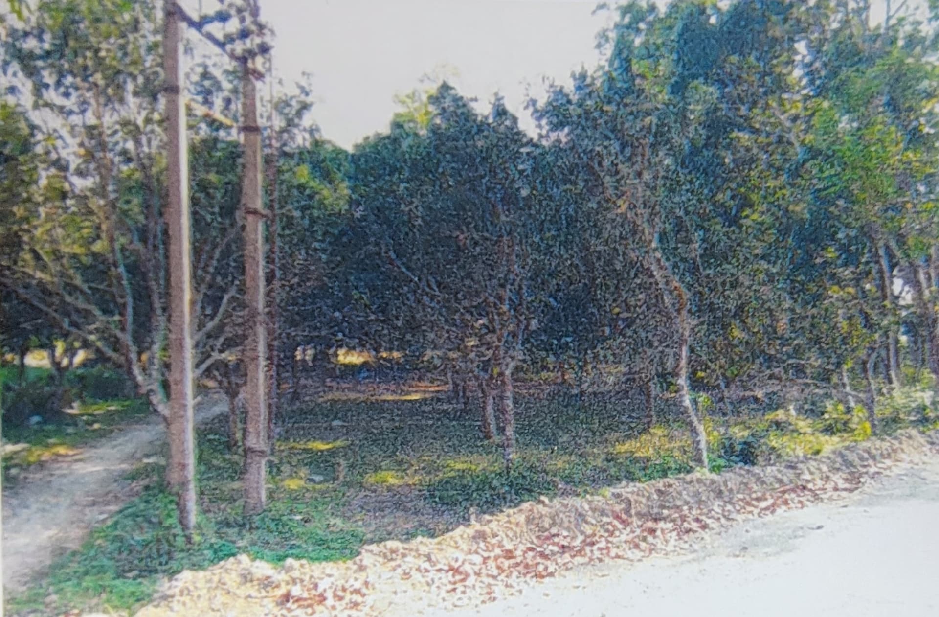 Property Photos 1