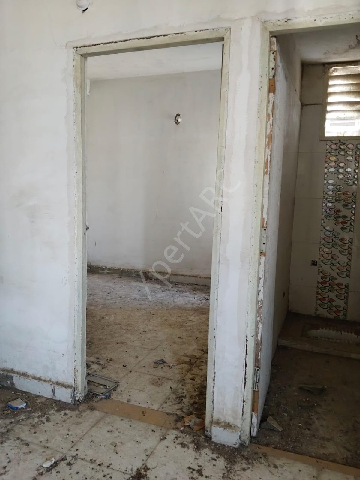 Property Photos 5