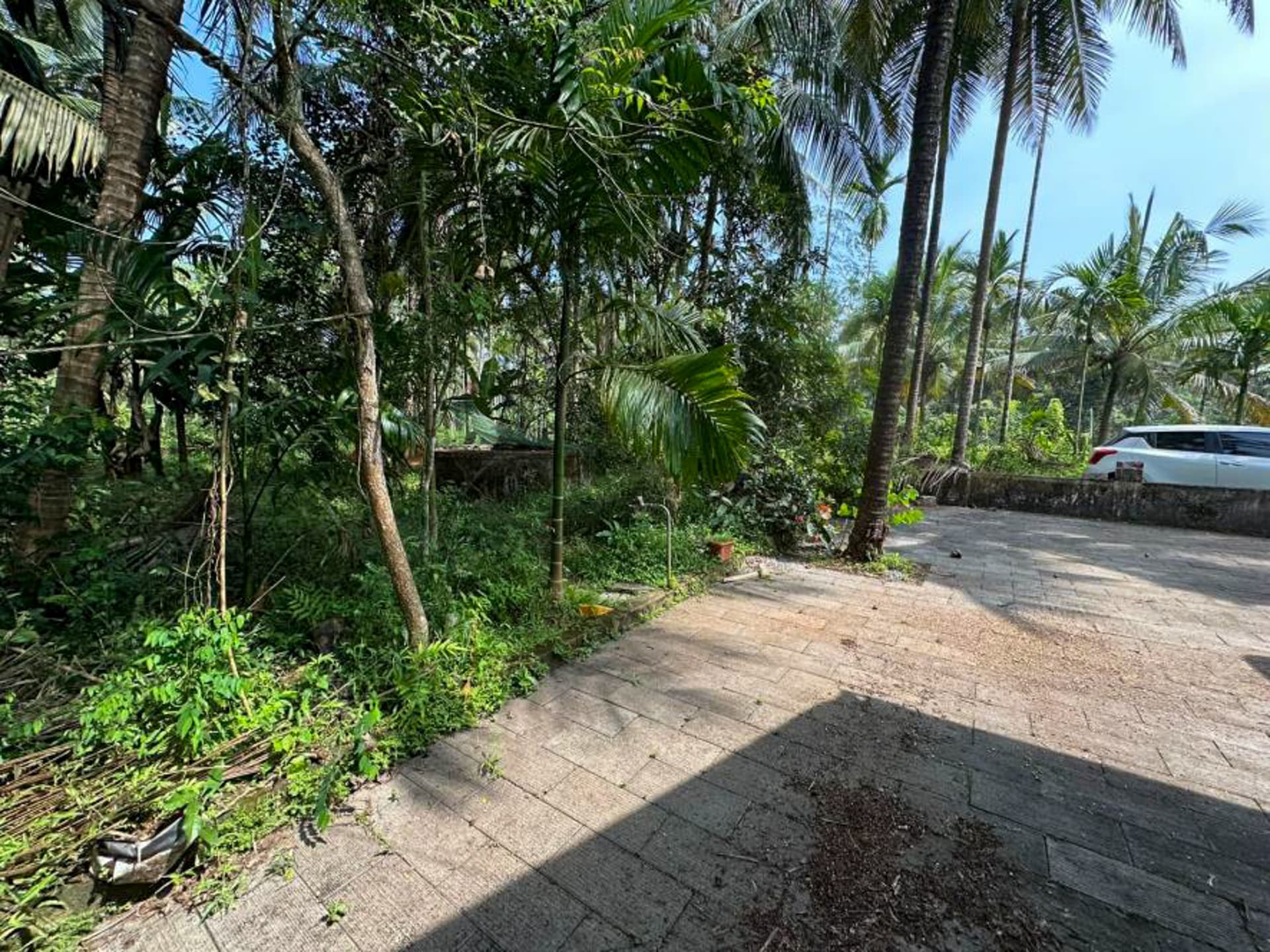 Property Photos 4
