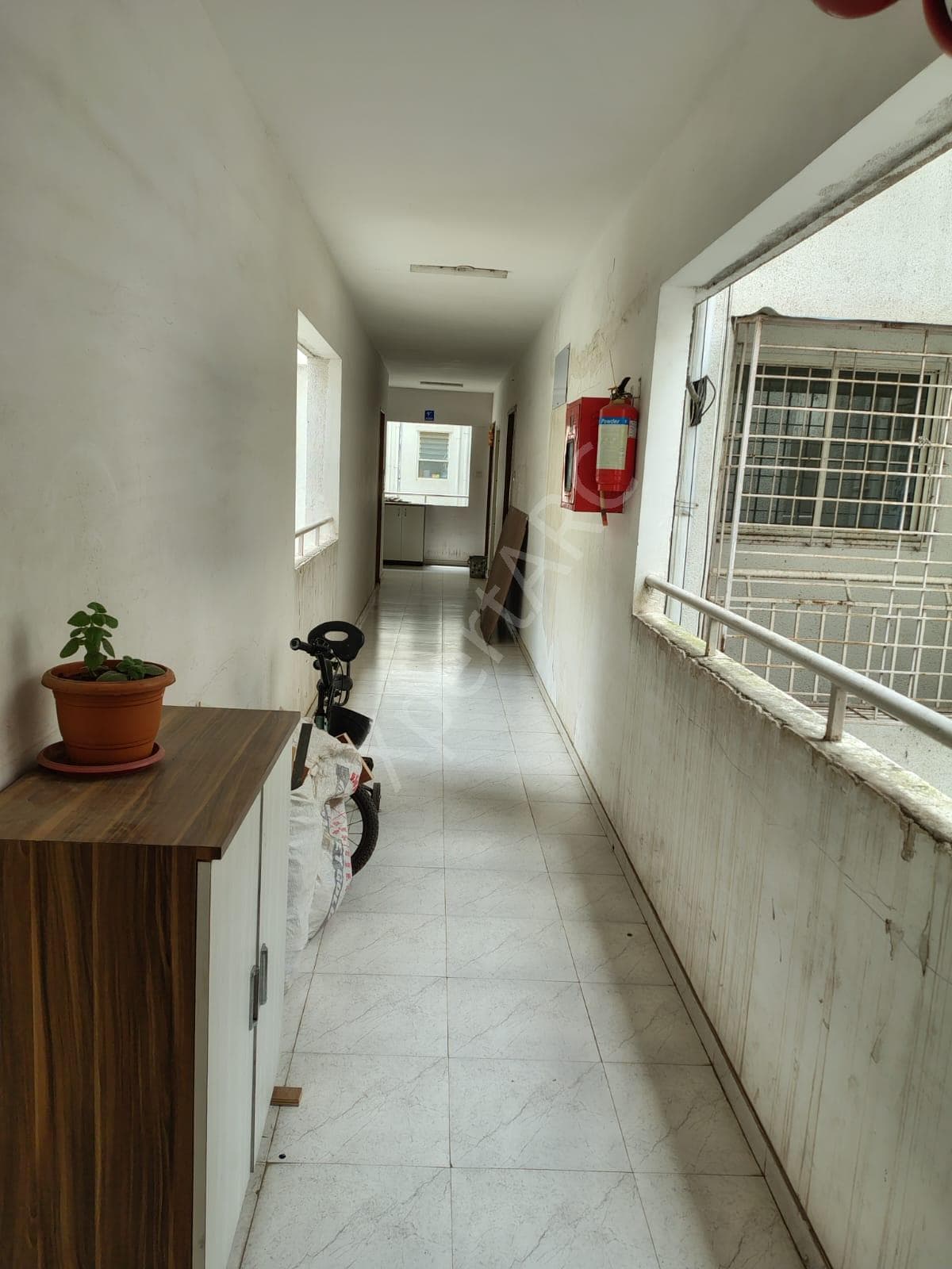 Property Photos 19