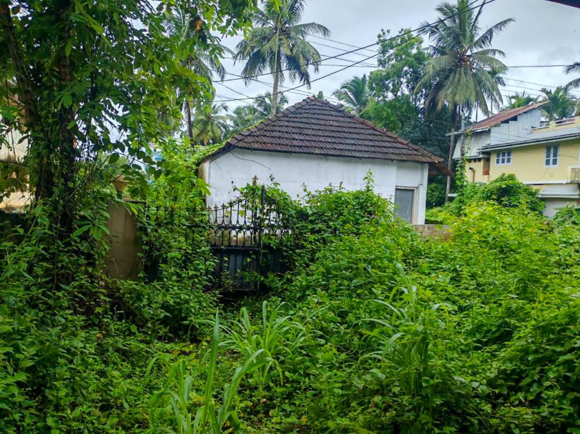 Property Photos 8