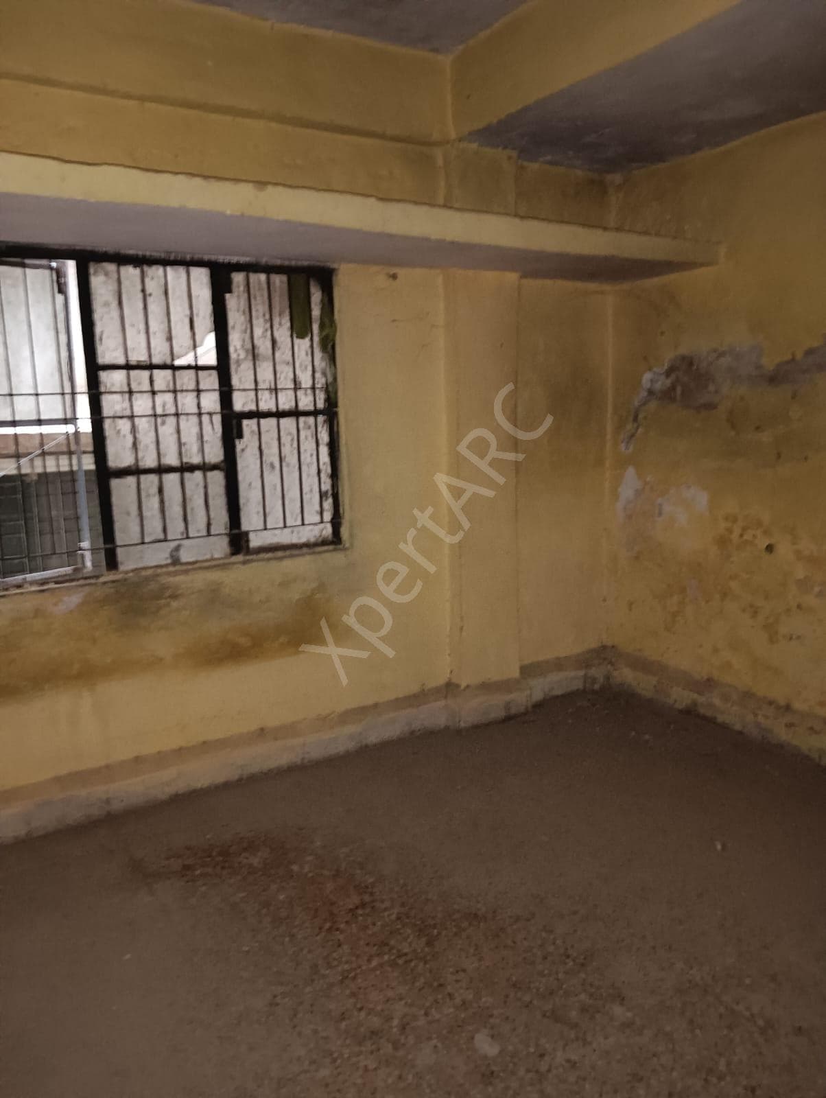 Property Photos 6