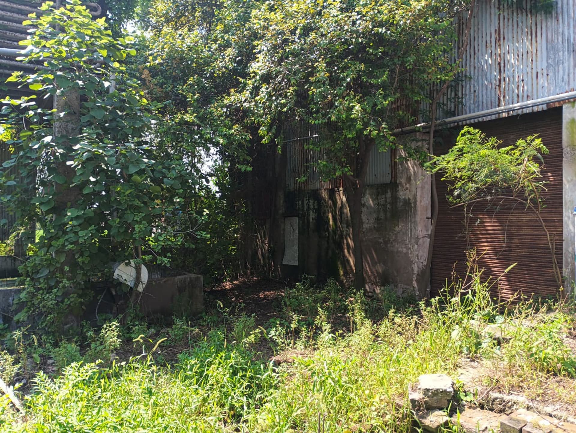 Property Photos 8