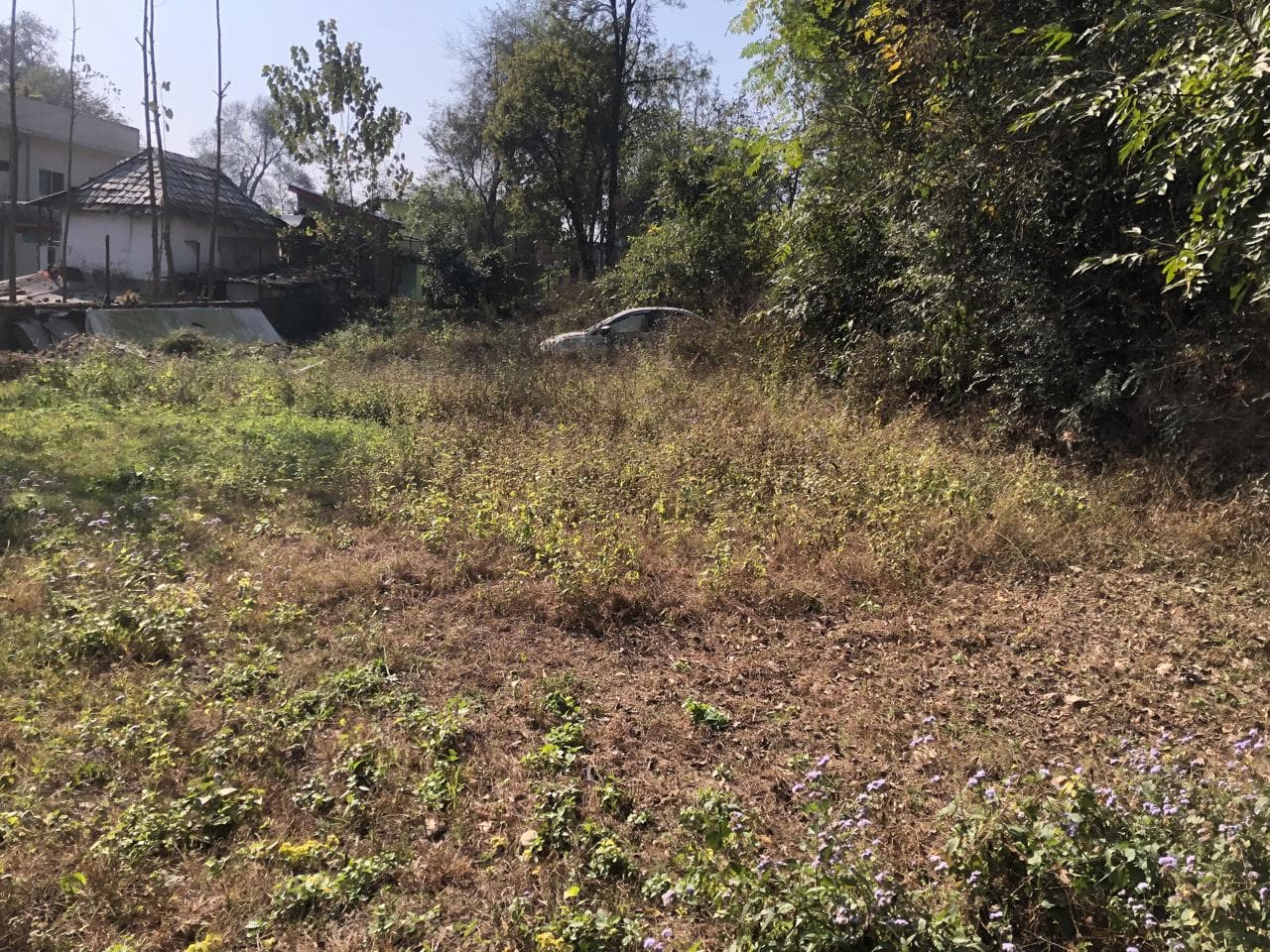 Property Photos 1