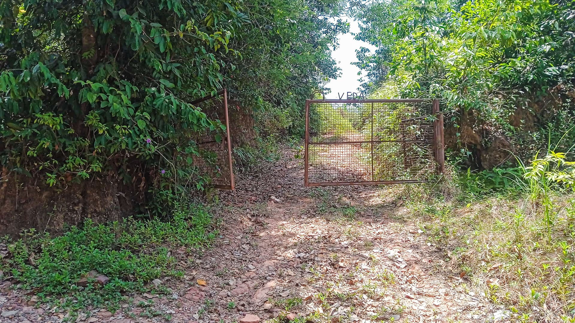 Property Photos 6