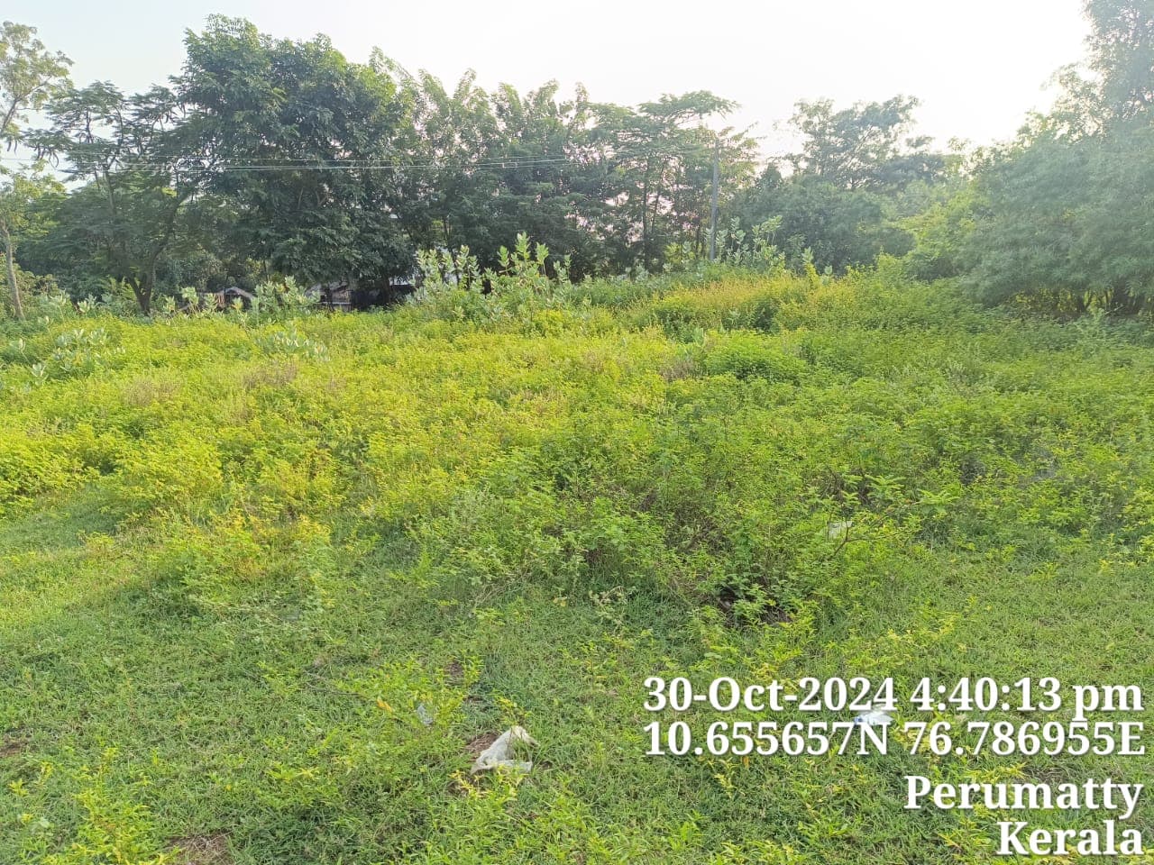 Property Photos 3