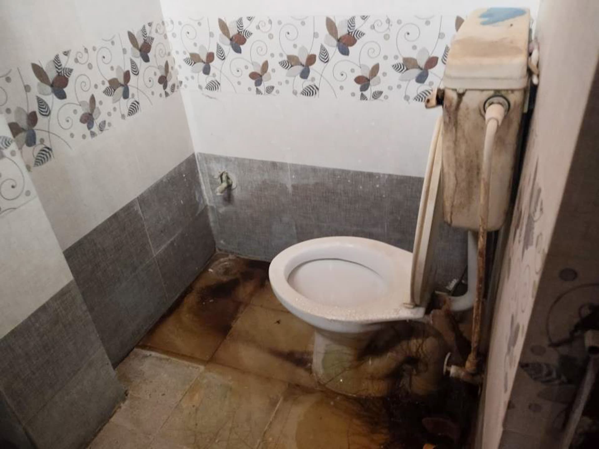 Property Photos 18