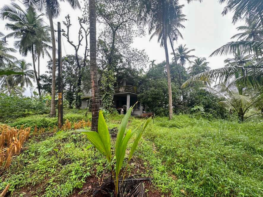 Property Photos 15