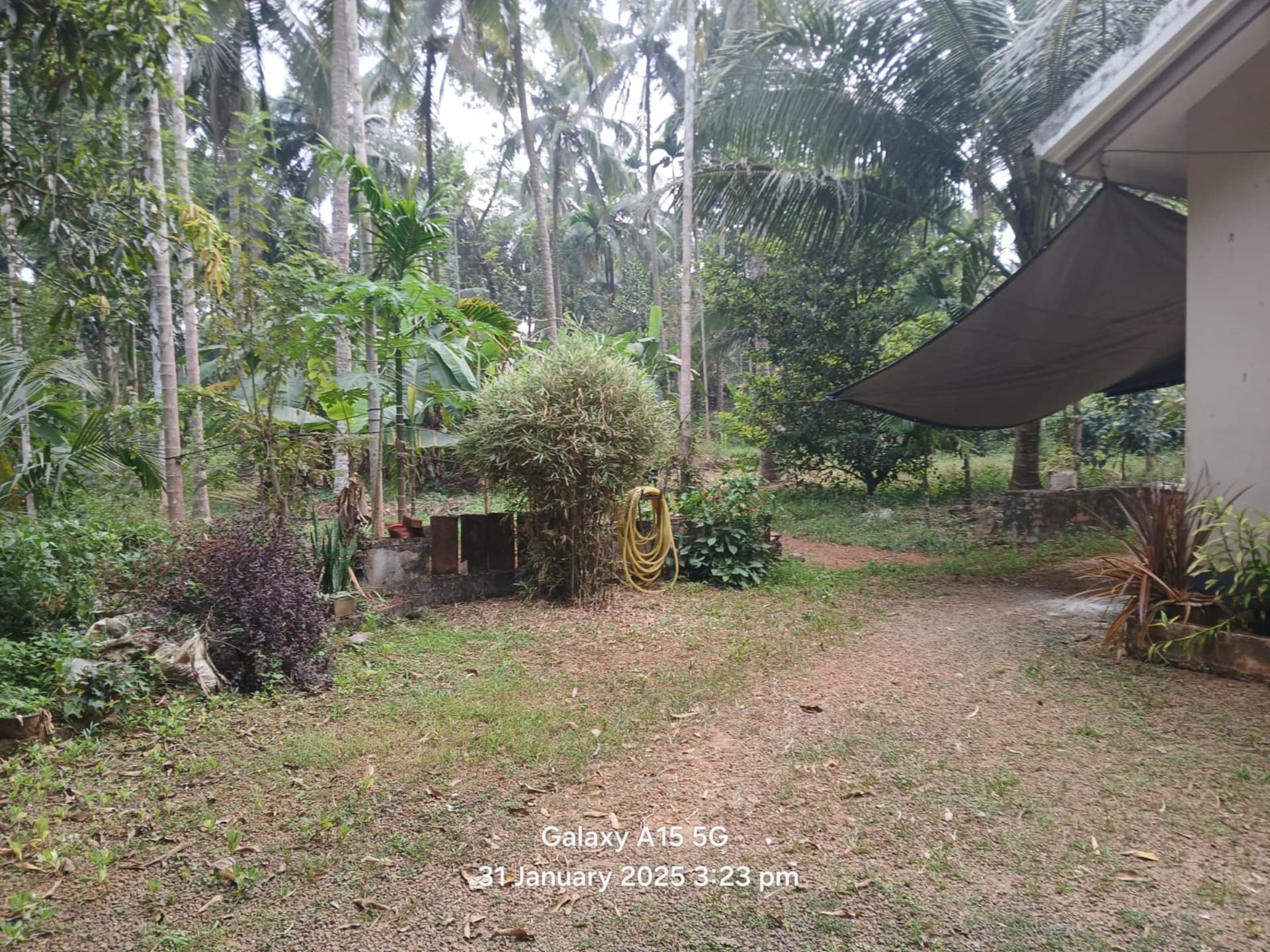 Property Photos 2