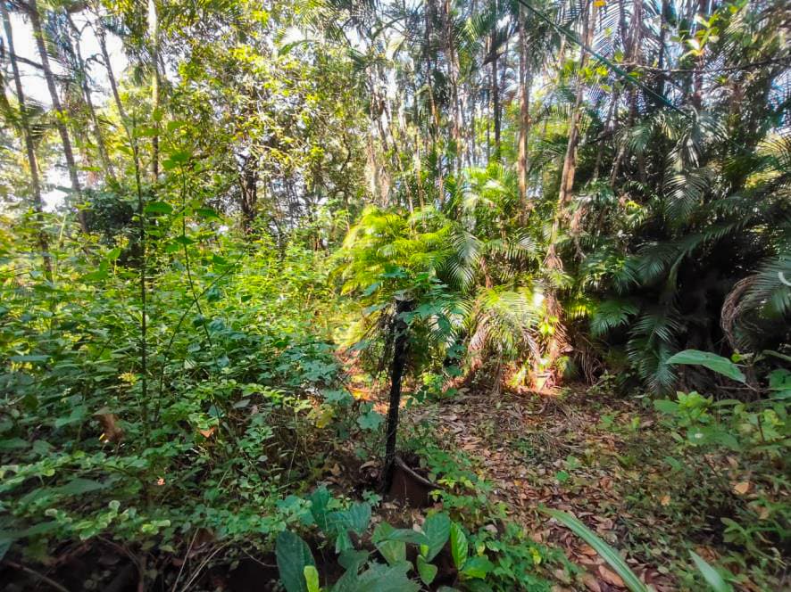 Property Photos 22