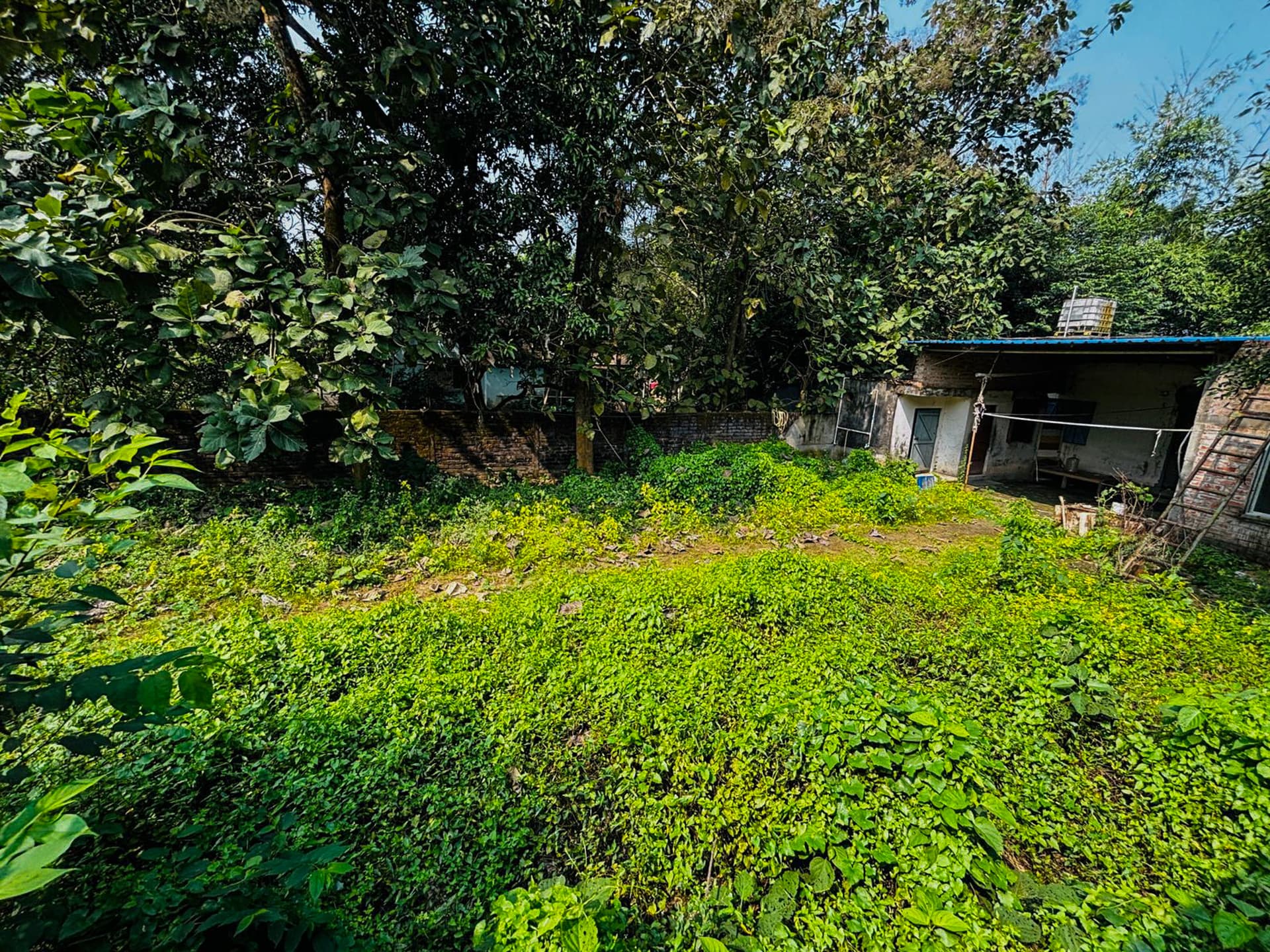 Property Photos 7