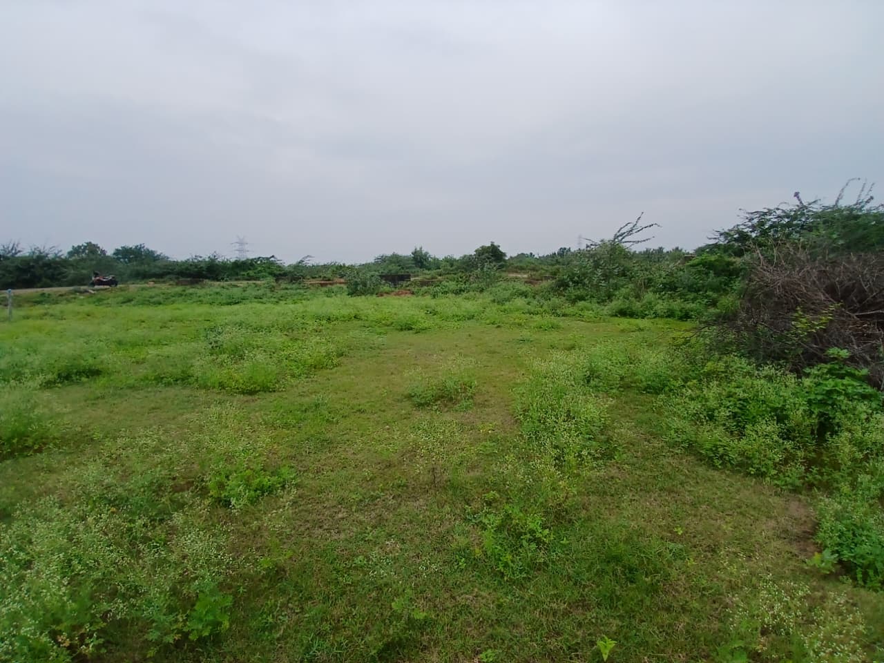 Property Photos 2