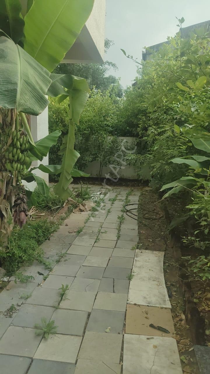 Property Photos 7