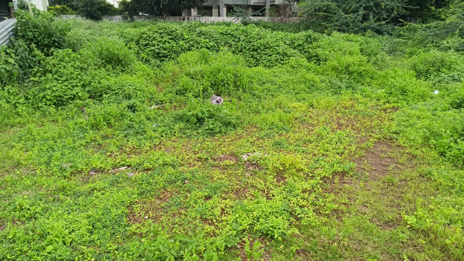 Property Photos 3