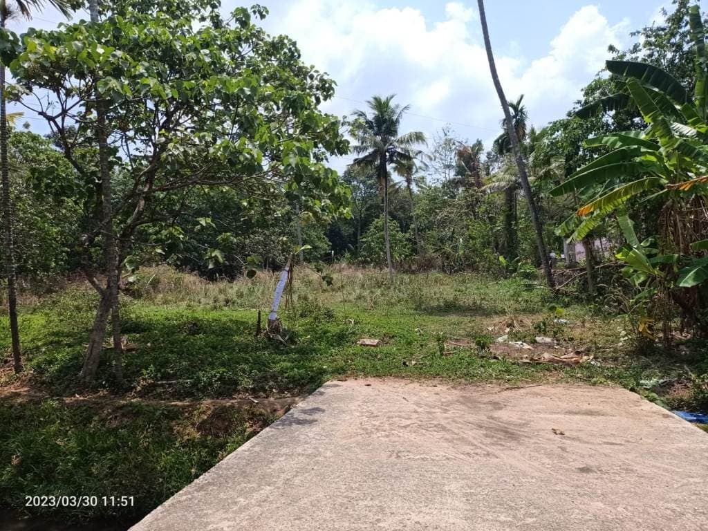 Property Photos 4