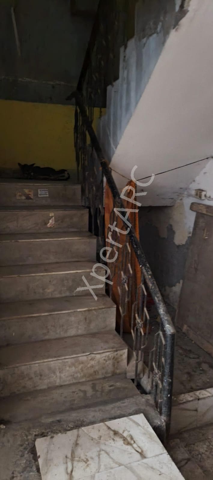 Property Photos 17