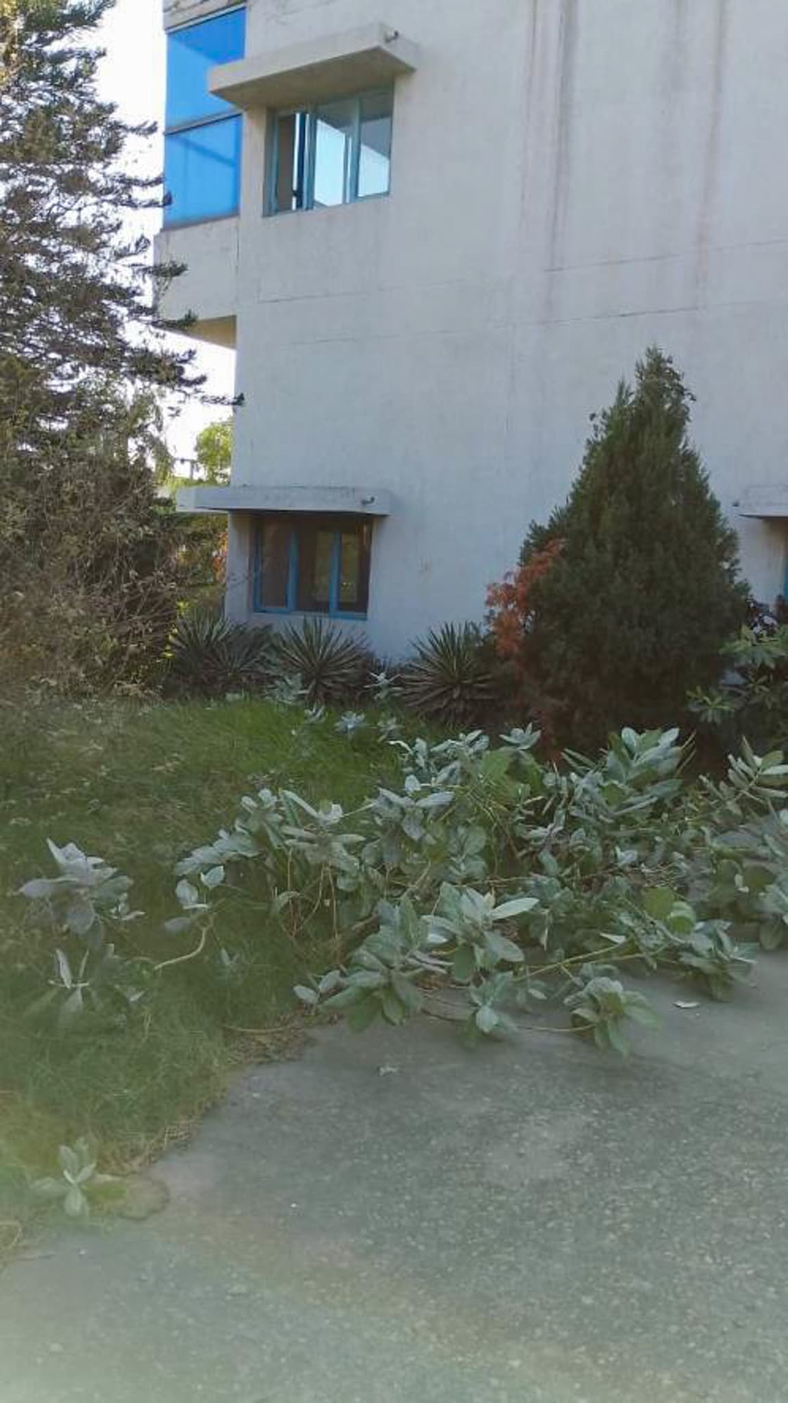 Property Photos 8