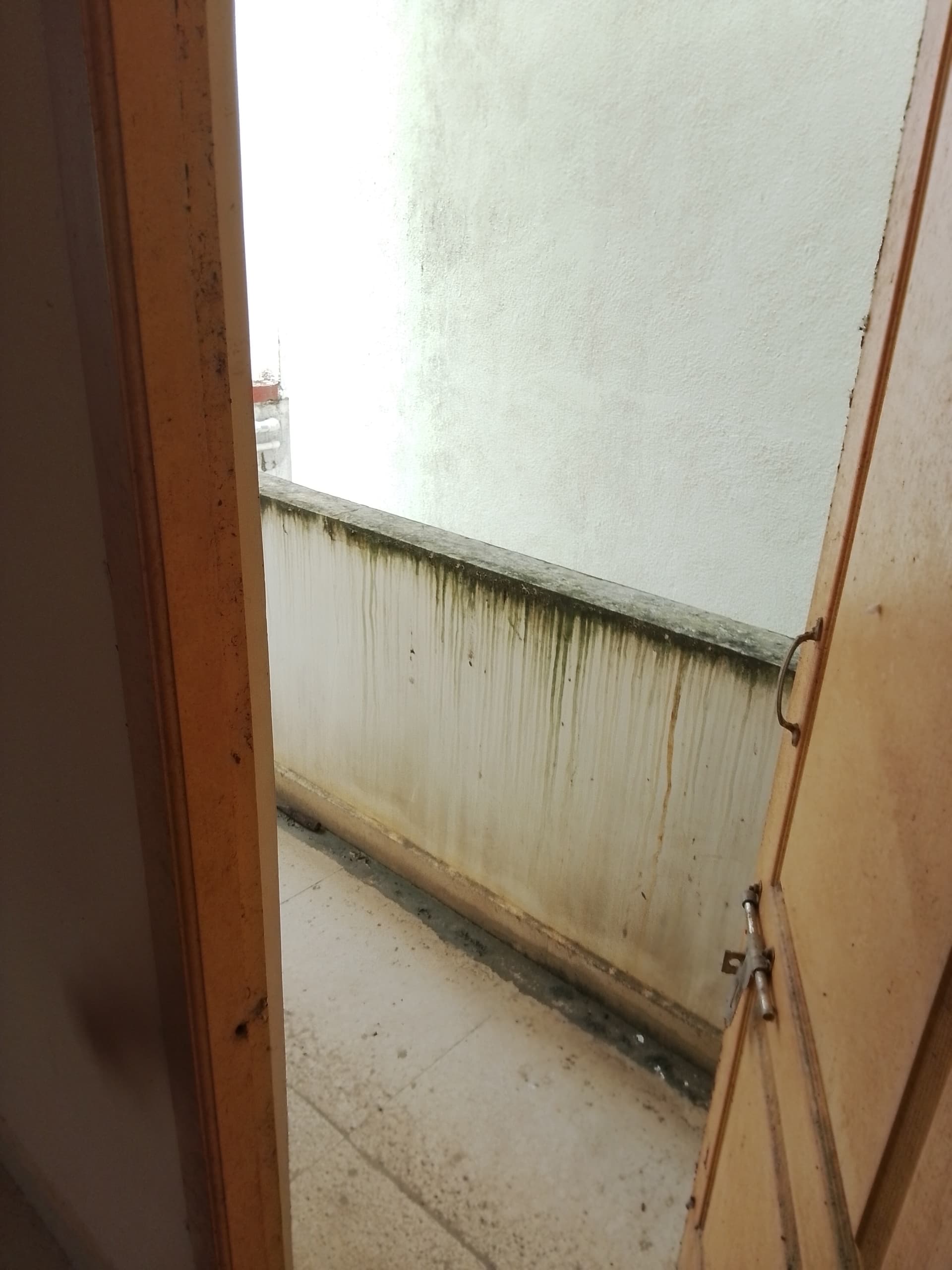 Property Photos 5