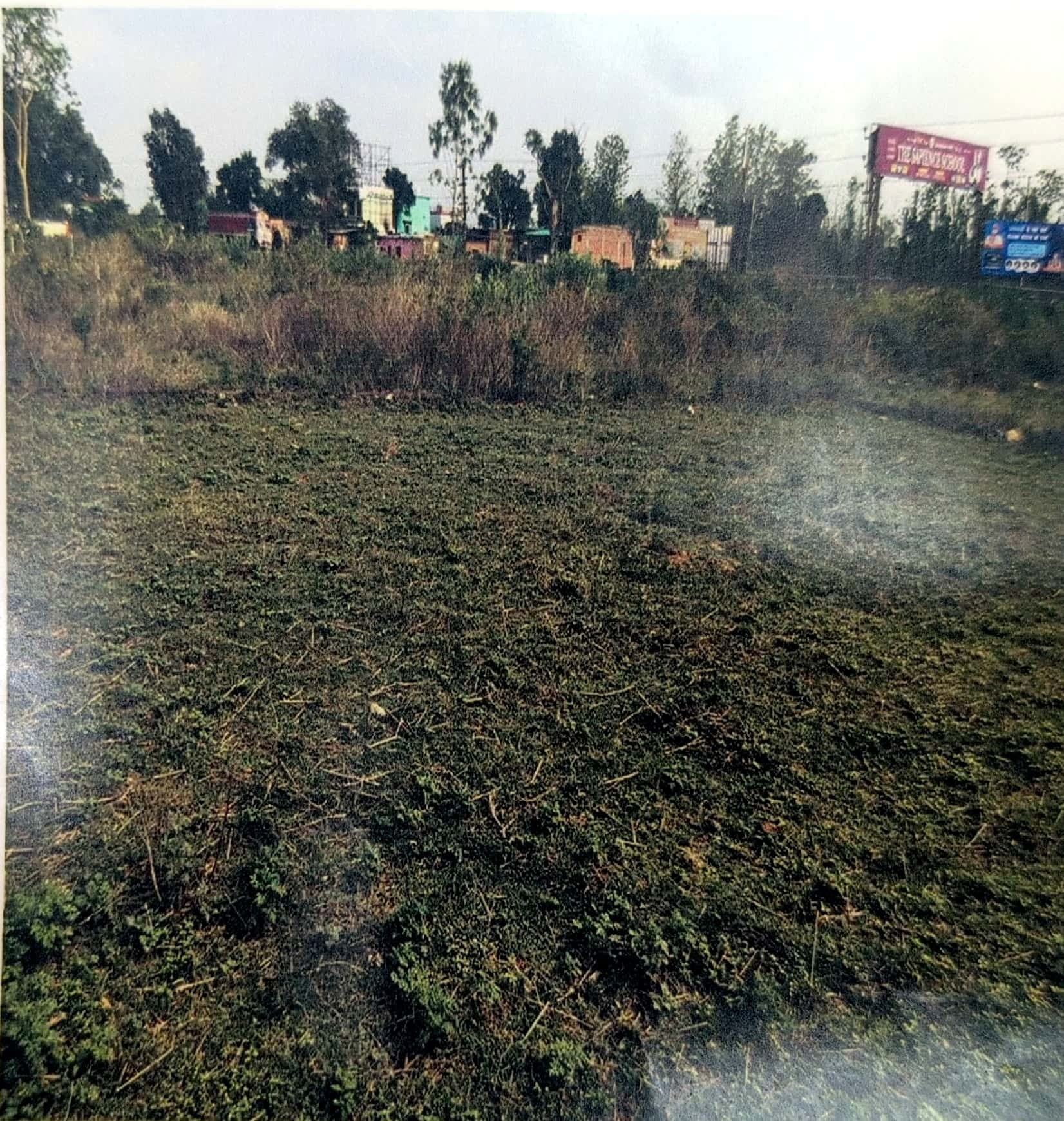 Property Photos 6