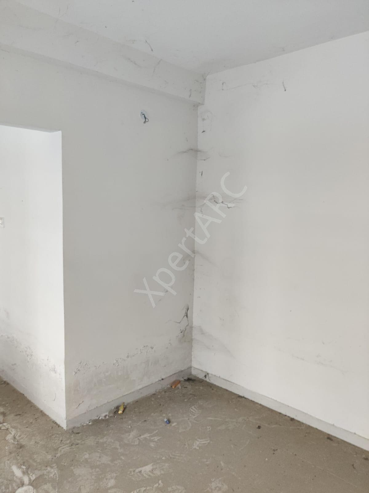 Property Photos 11