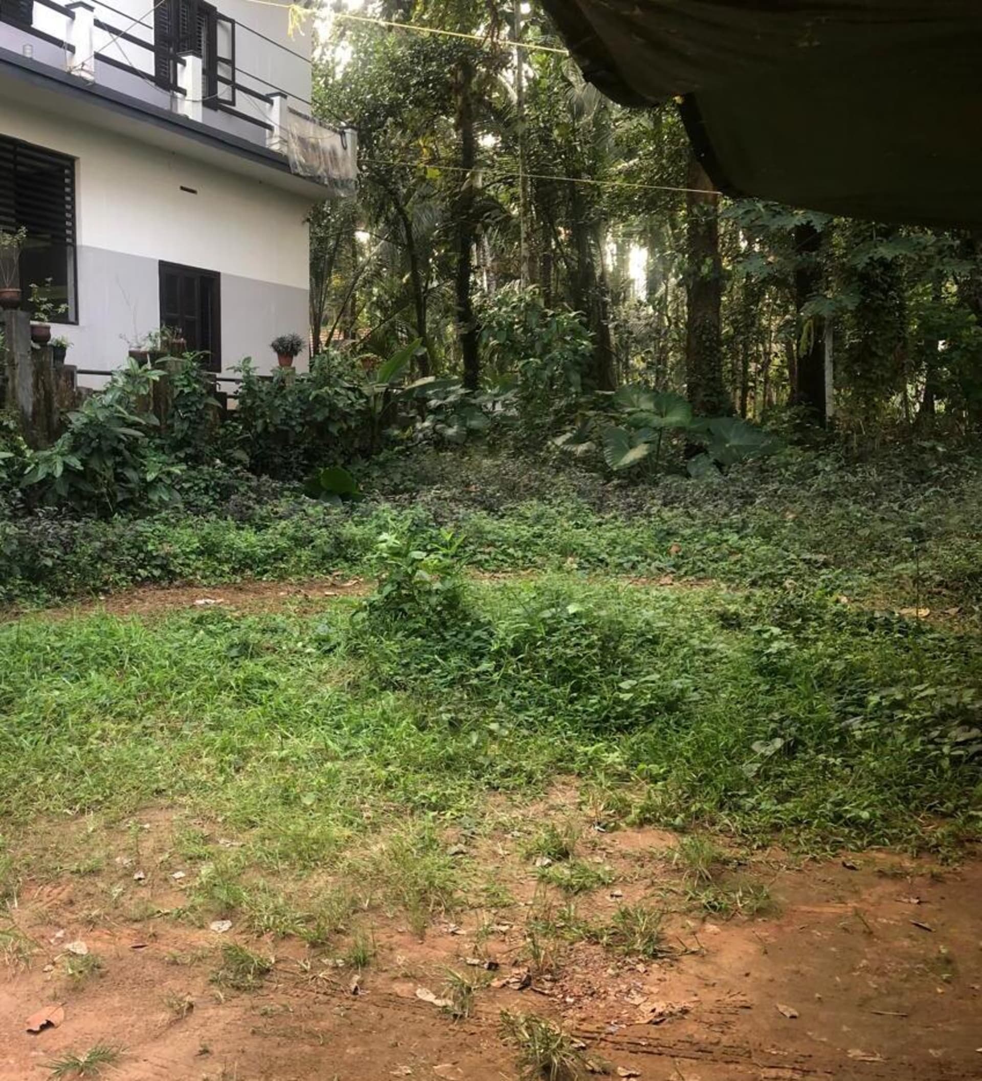 Property Photos 2