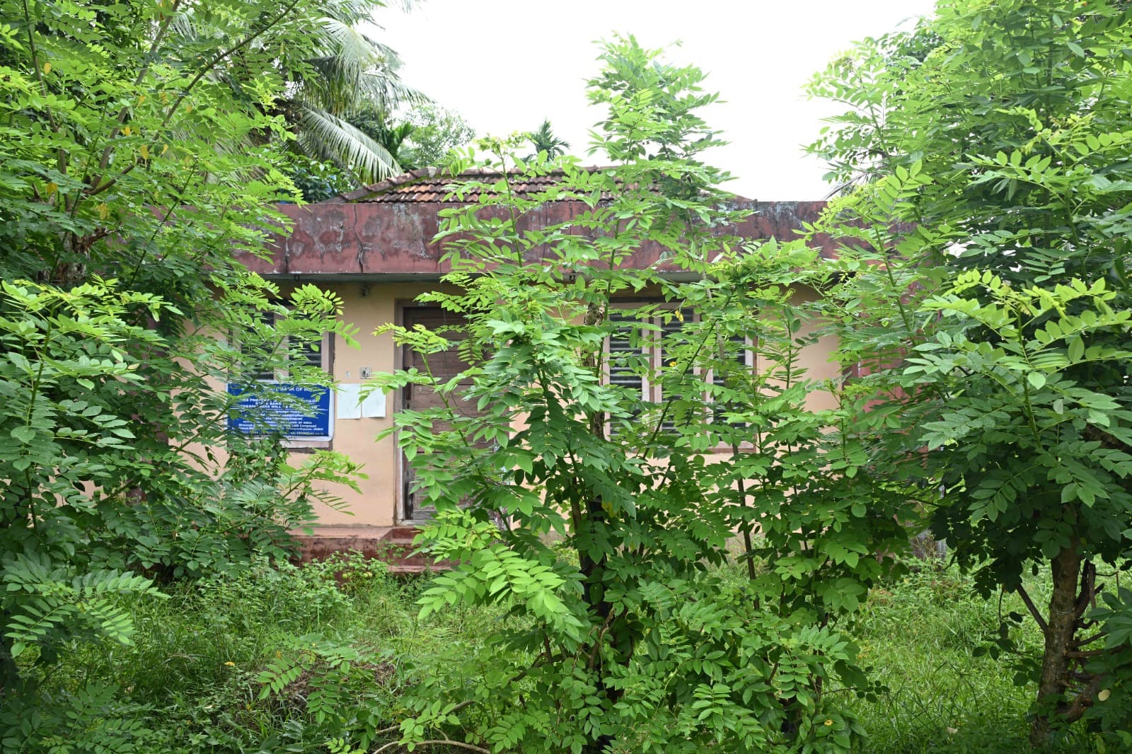 Property Photos 7