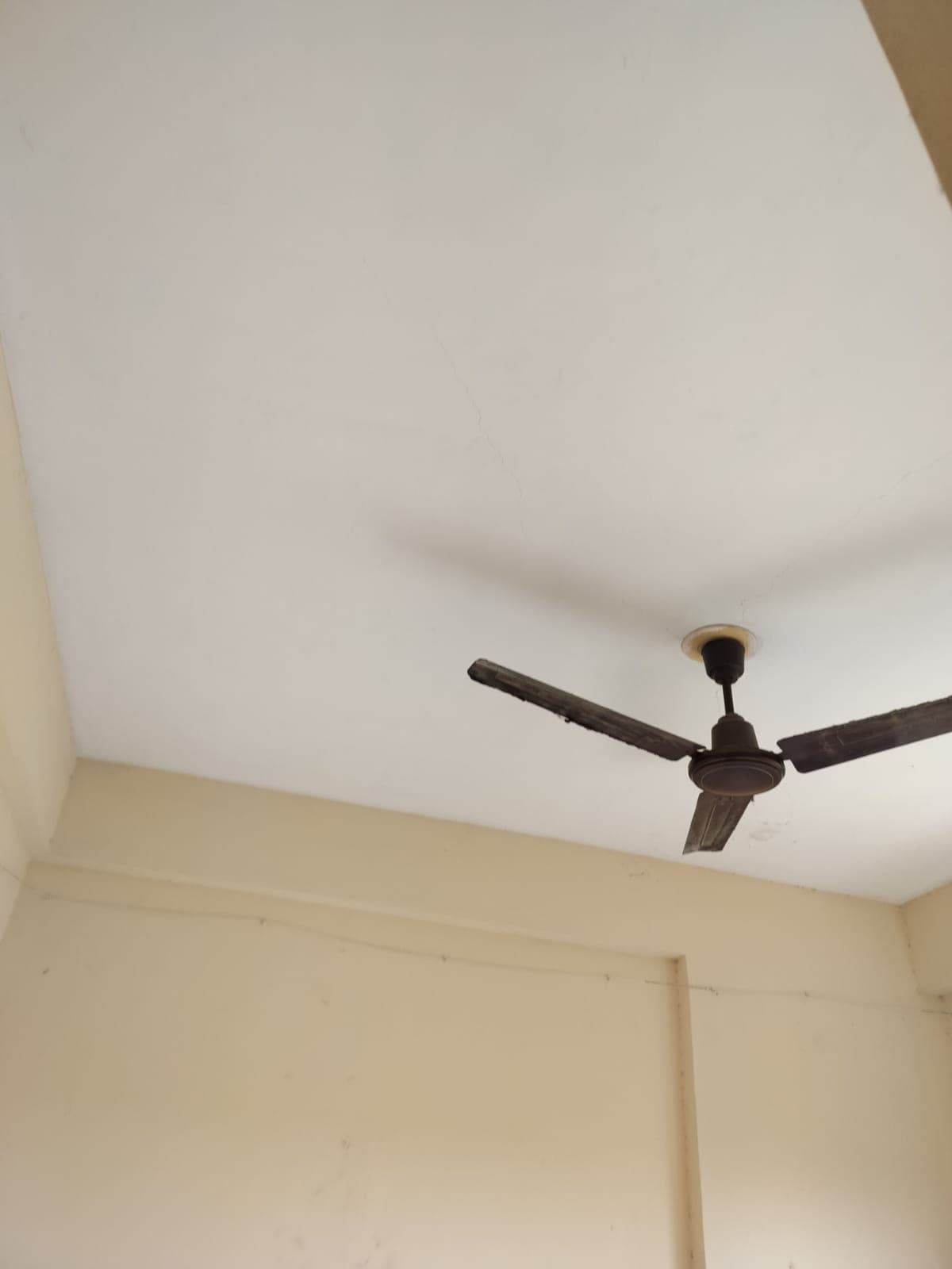 Property Photos 4
