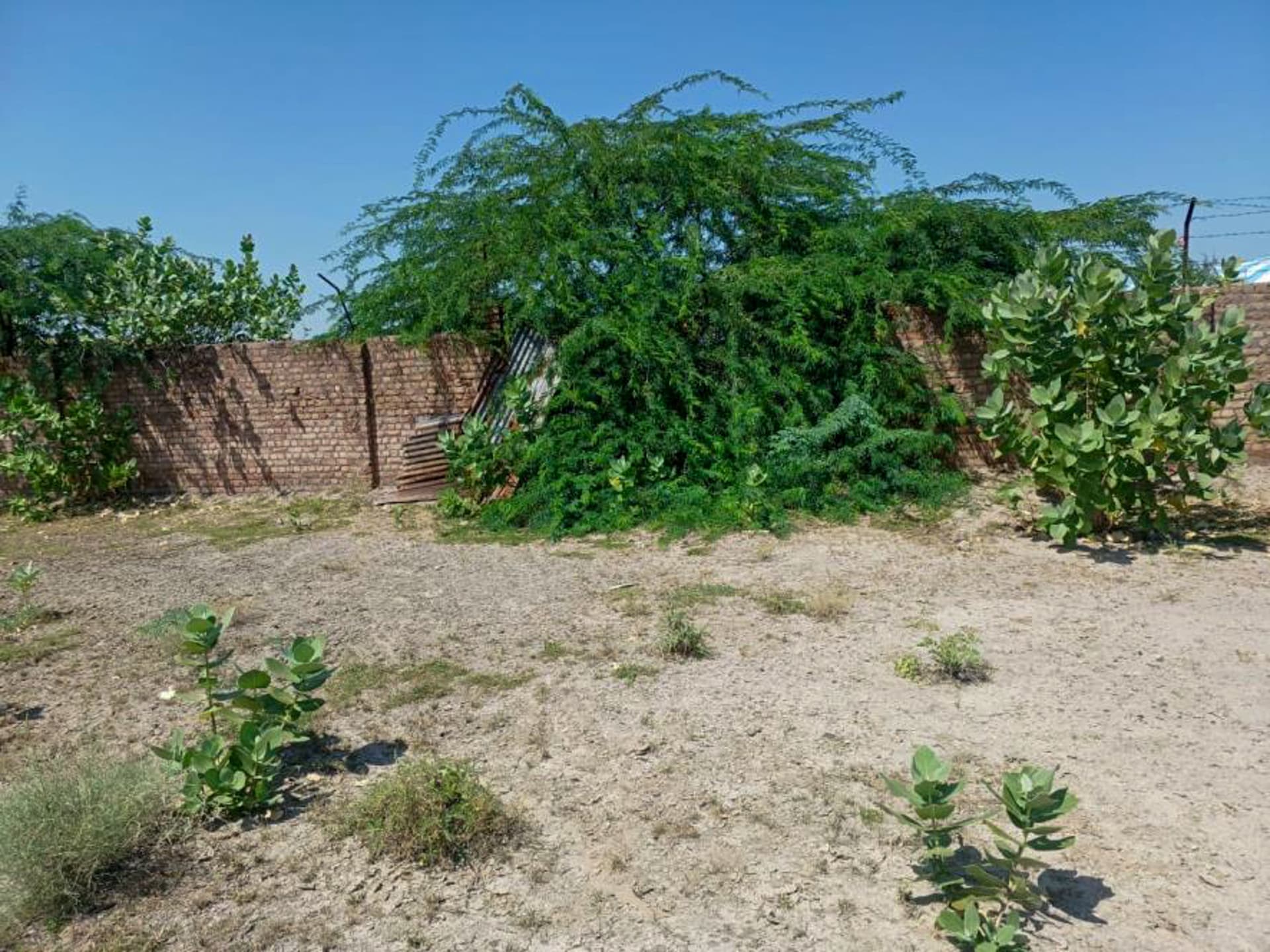 Property Photos 4
