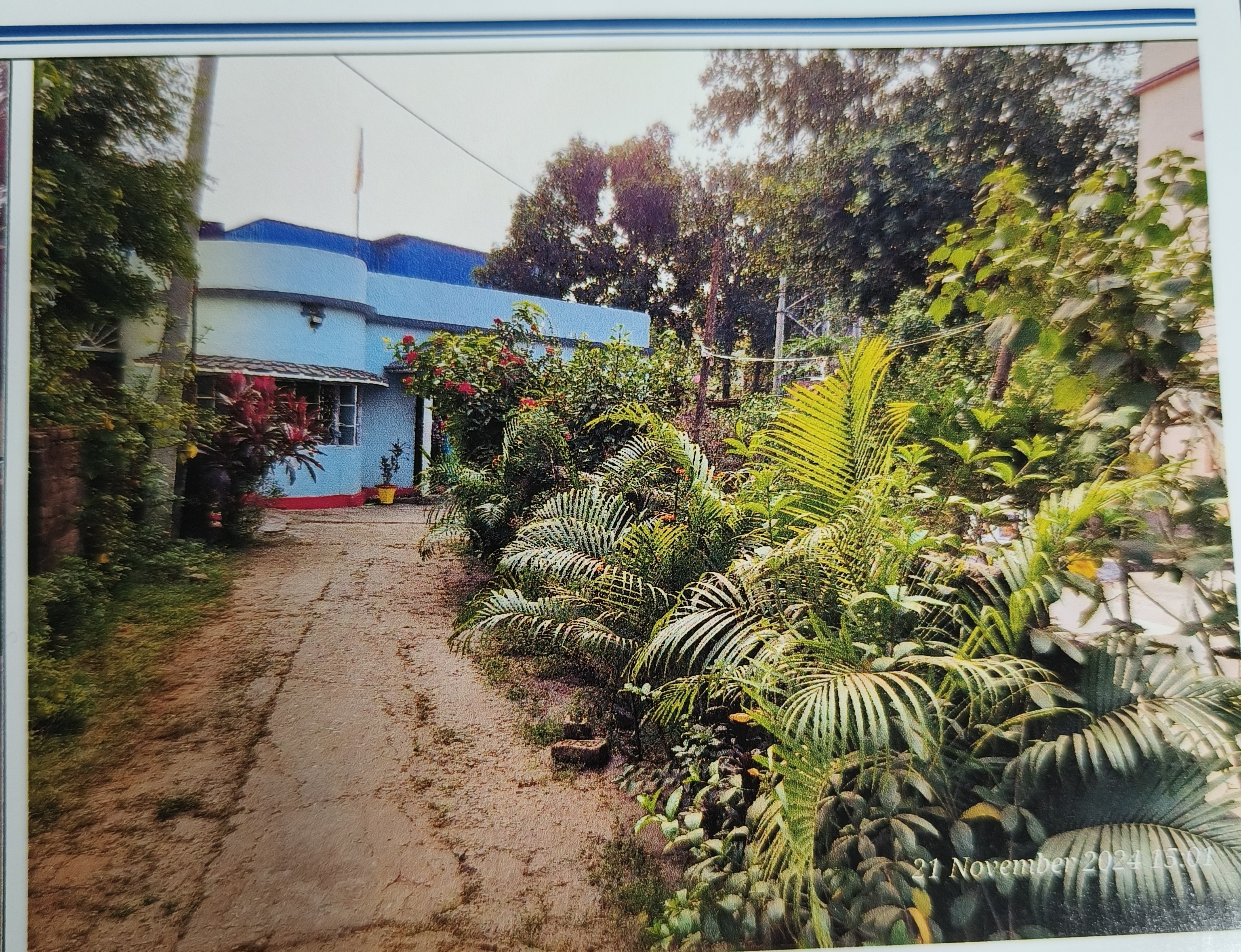 Property Photos 4
